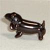 Dachshund