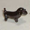 Dachshund