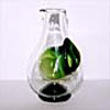Decanter