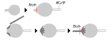 �g�}�g
