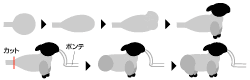 �q�c�W